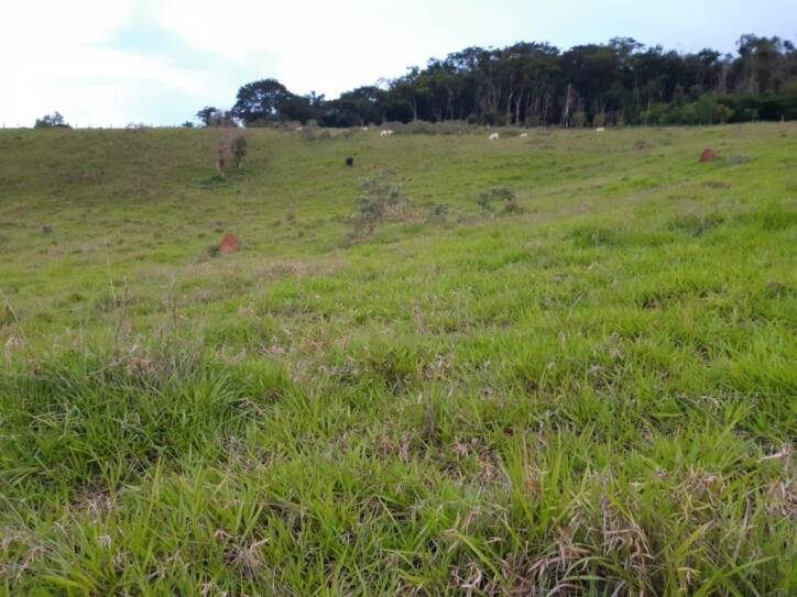 Terreno à venda, 5000m² - Foto 2