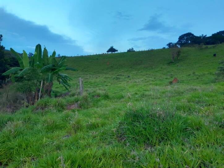 Terreno à venda, 5000m² - Foto 4