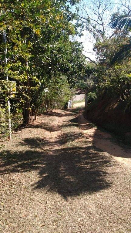 Fazenda à venda com 2 quartos, 6000m² - Foto 3