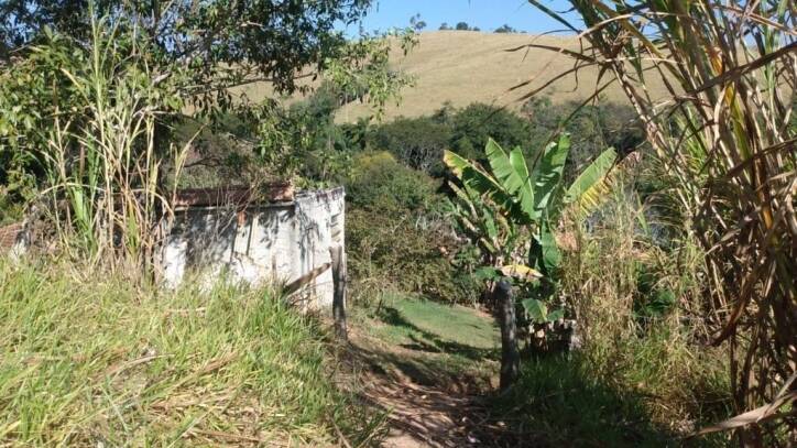 Fazenda à venda com 2 quartos, 6000m² - Foto 23