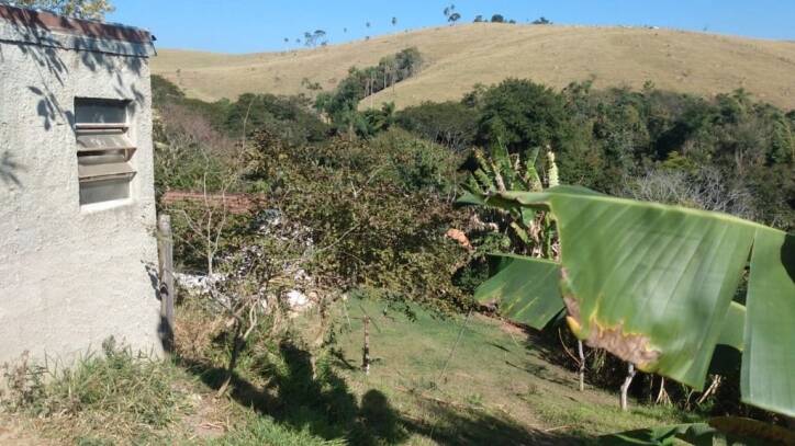 Fazenda à venda com 2 quartos, 6000m² - Foto 24