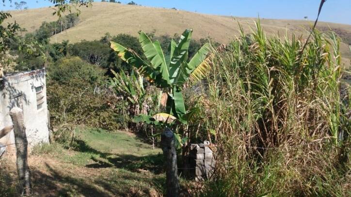 Fazenda à venda com 2 quartos, 6000m² - Foto 26