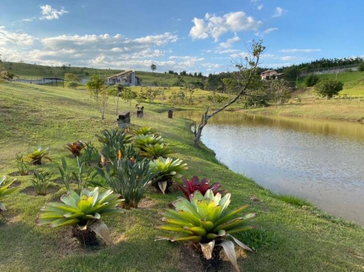 Terreno à venda, 1036m² - Foto 2