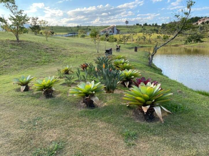 Terreno à venda, 1036m² - Foto 3