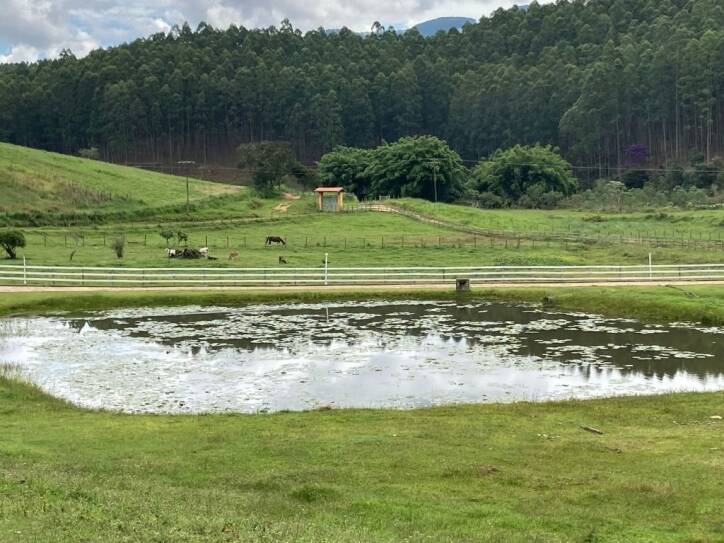 Fazenda à venda com 4 quartos, 968000m² - Foto 9