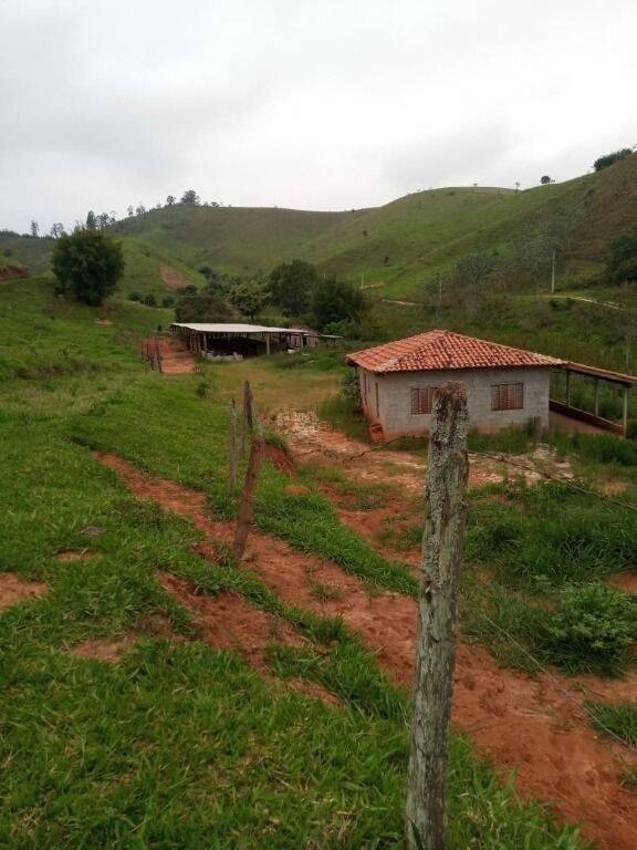 Fazenda à venda com 2 quartos, 302500m² - Foto 3