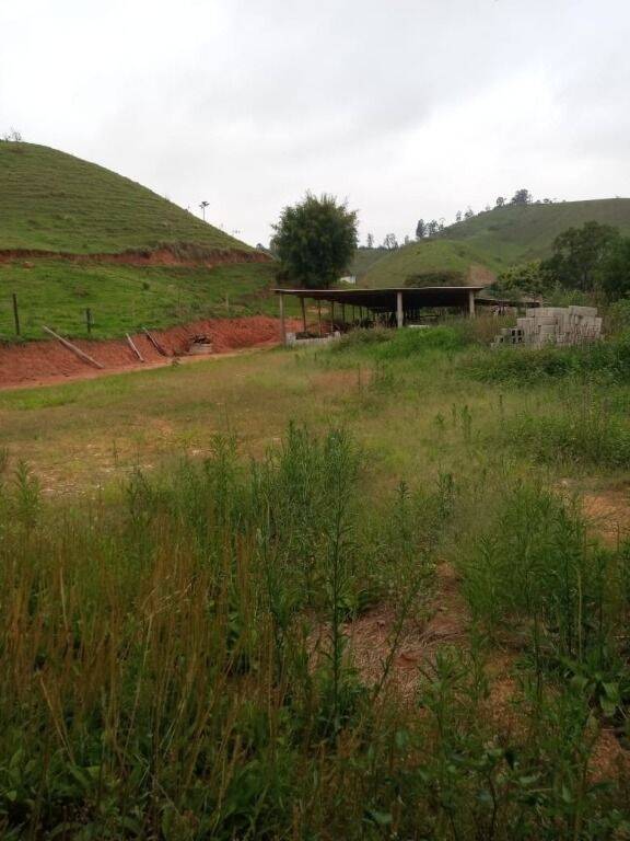 Fazenda à venda com 2 quartos, 302500m² - Foto 6