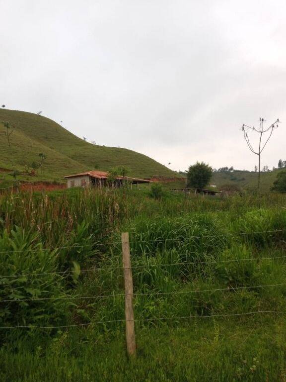 Fazenda à venda com 2 quartos, 302500m² - Foto 12