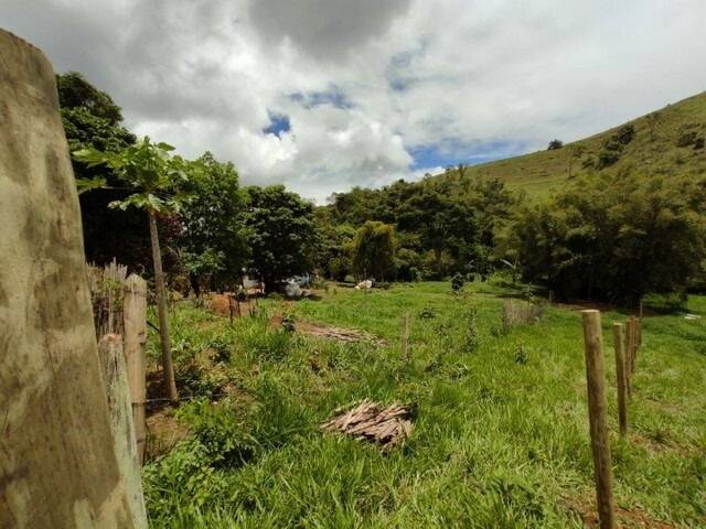 Fazenda à venda com 4 quartos, 11000m² - Foto 4