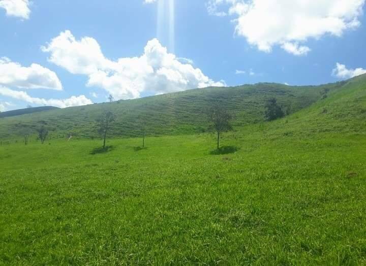 Fazenda à venda, 25000m² - Foto 3