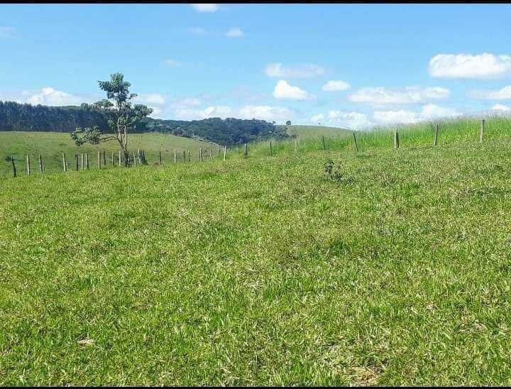 Fazenda à venda, 25000m² - Foto 5