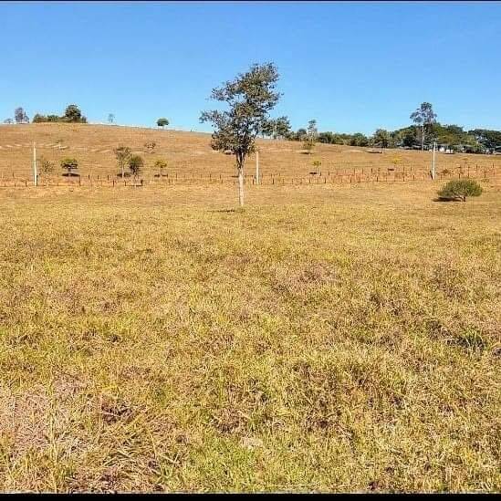 Fazenda à venda, 25000m² - Foto 9