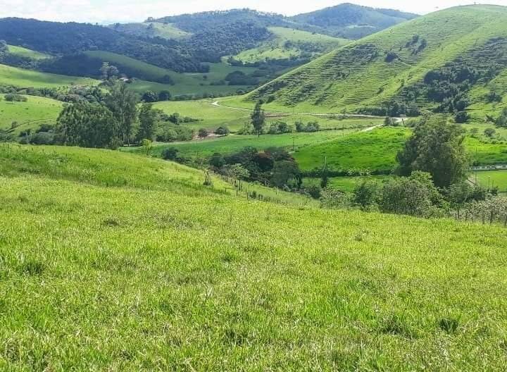 Fazenda à venda, 25000m² - Foto 14