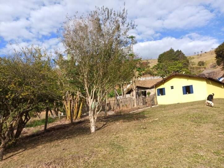 Fazenda à venda com 3 quartos, 108900m² - Foto 9