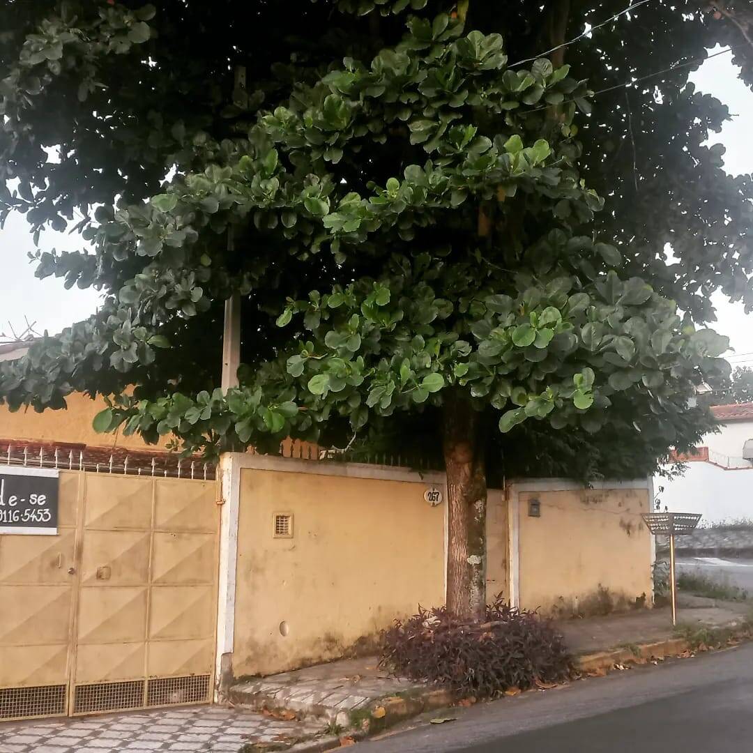 Casa à venda com 3 quartos, 140m² - Foto 2