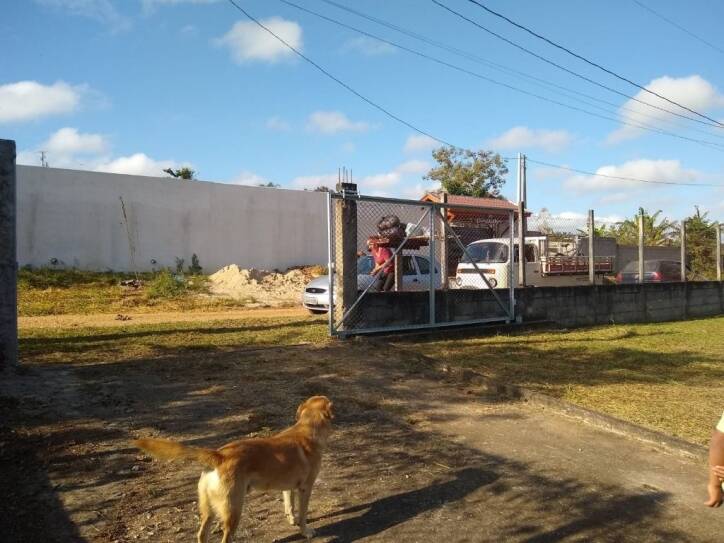 Fazenda à venda com 5 quartos, 1000m² - Foto 6