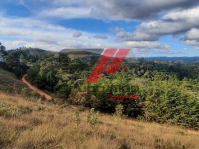 Terreno para Venda em Campos do Jordão - 3